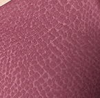 garnet python swatch