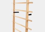 CoreAlign® Wall Mounted Ladder balanced body