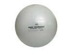 sissel securemax exercise ball 65cm