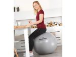 sissel securemax exercise ball 65cm