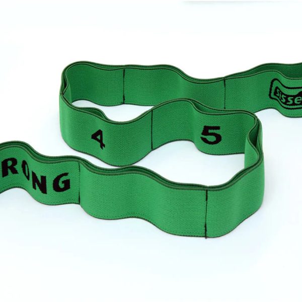 sissel x-tension band green