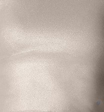 swatch gold metallic